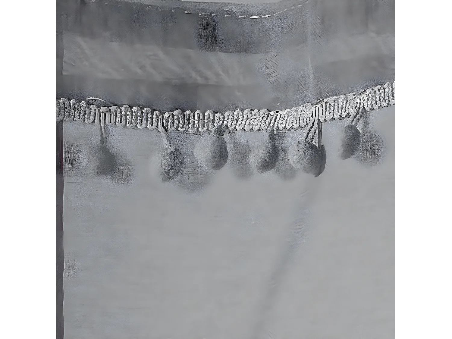 Paire de Voilages à Pompons "Poupette" 60x90cm Gris