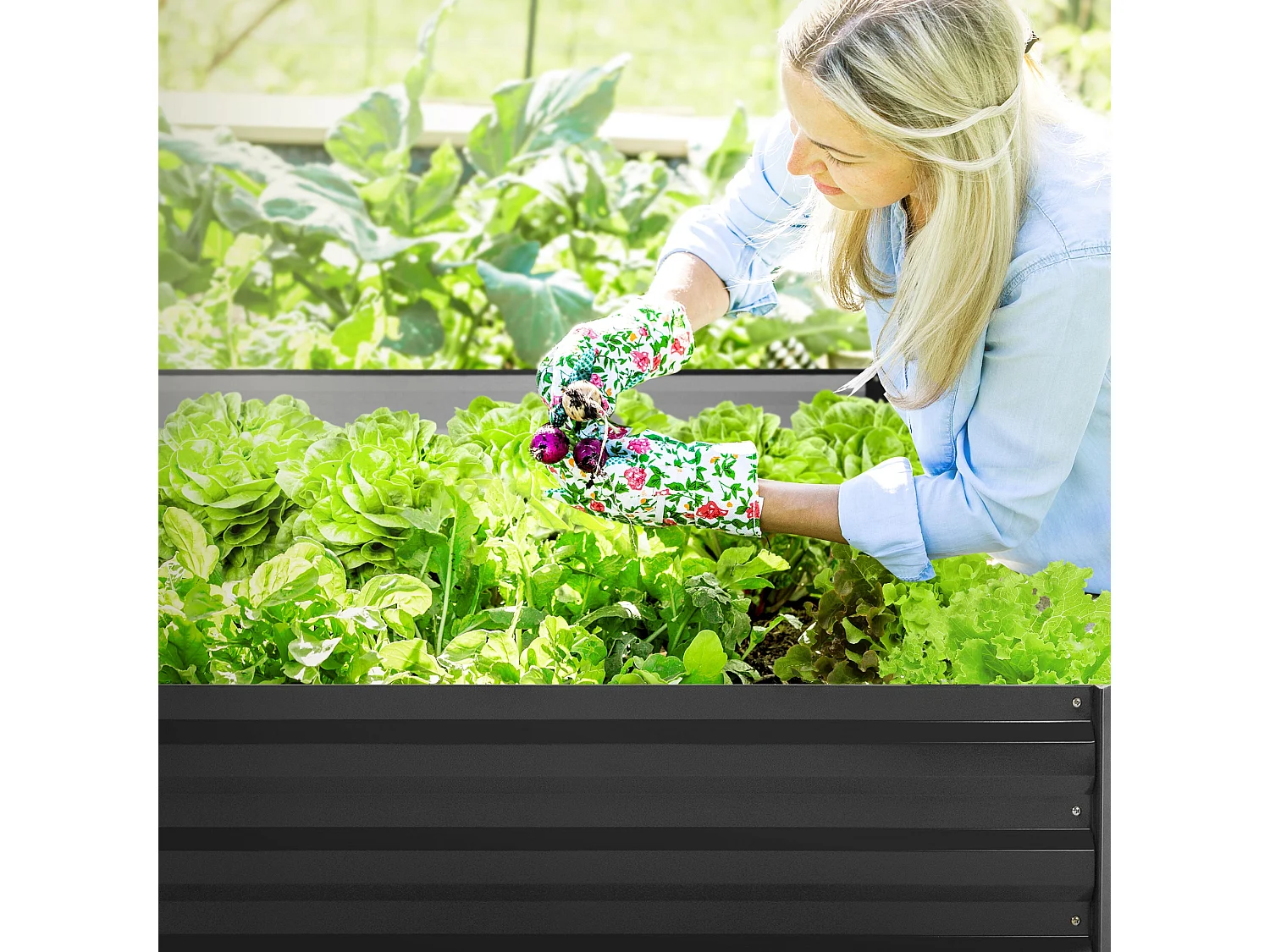 Lit de jardin surélevé bac à plantes/fleurs/légumes jardinière métal 90x30 cm