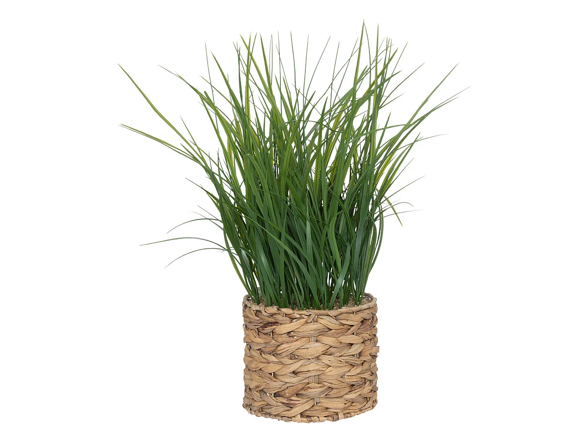 Plante artificielle Herbes dans pot en en jacinthe d'eau H 70 cm