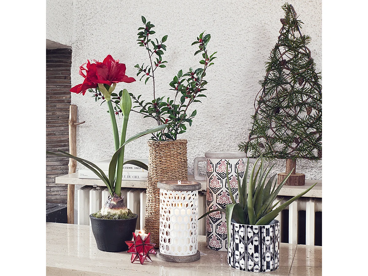 Vase Amaryllis Petit Format - Blanc