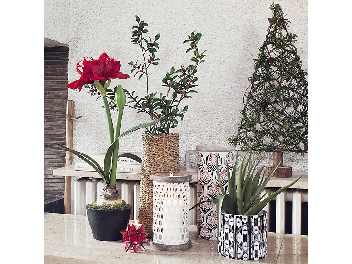 Vase Amaryllis Petit Format - Blanc