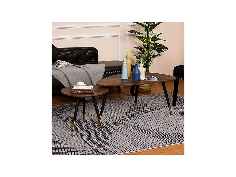 Lot de 2 tables basses BRANDO marron