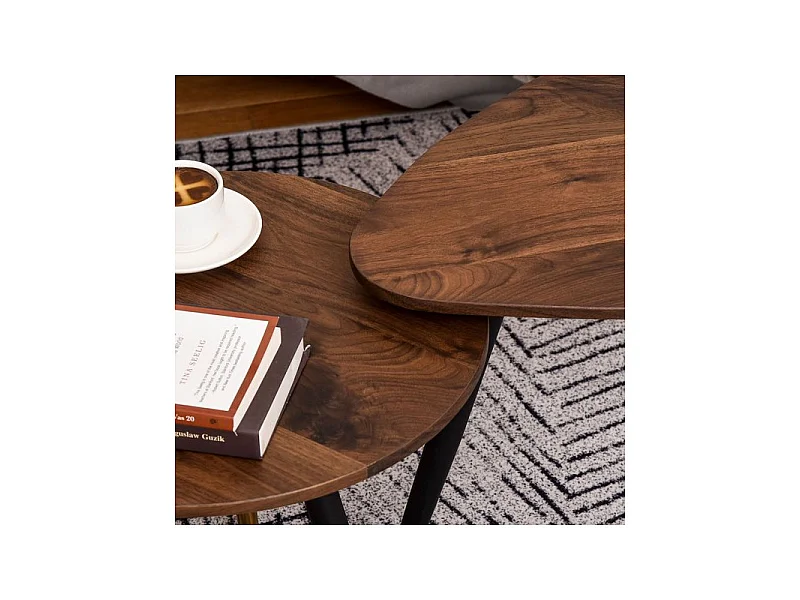 Lot de 2 tables basses BRANDO marron