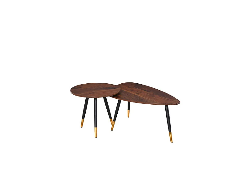 Lot de 2 tables basses BRANDO marron