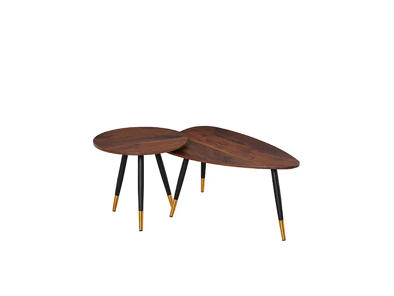Lot de 2 tables basses BRANDO marron