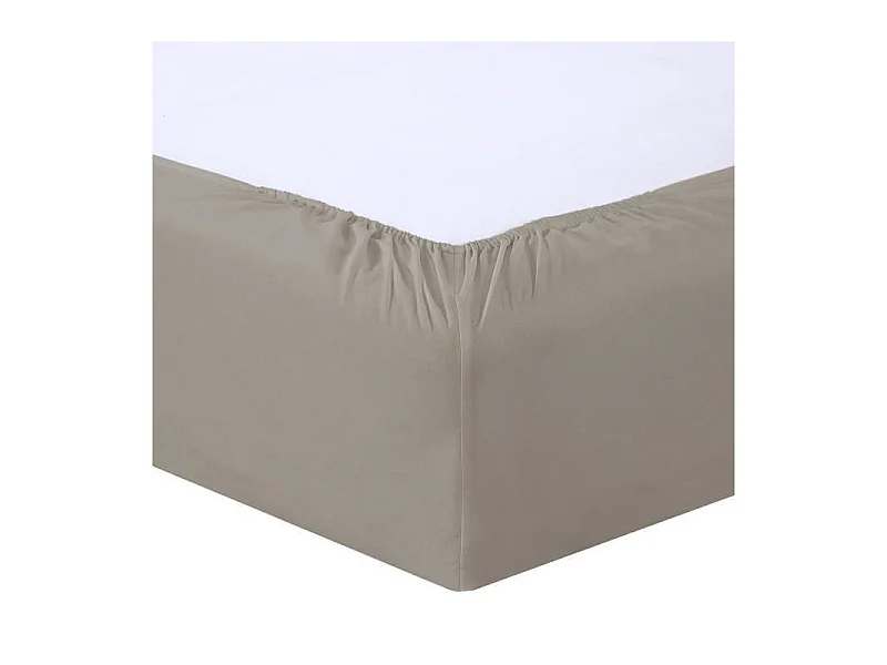 Drap Housse Taupe 180x200cm 100% Coton Vision - Tissage Serré 57 Fils - Lavable 40°