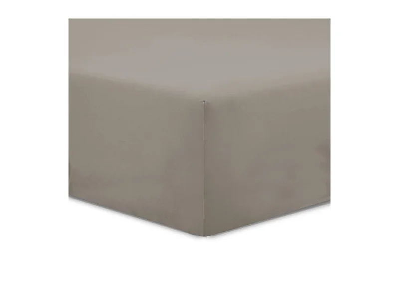 Drap Housse Taupe 180x200cm 100% Coton Vision - Tissage Serré 57 Fils - Lavable 40°