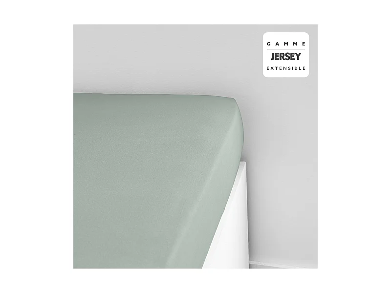 Drap Housse en coton "Essential" - Vert céladon - 160 x 200 cm