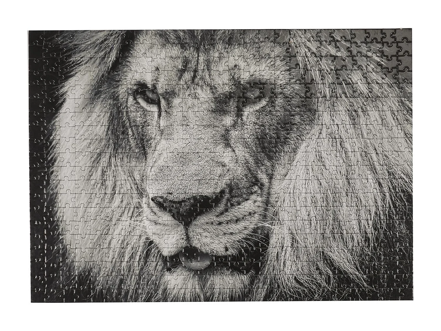 Puzzle Lion "500 Pièces" 35x48cm Noir & Blanc