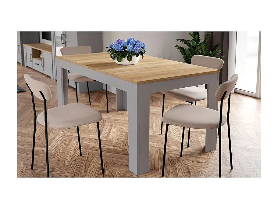 Table repas extensible L160/206 cm décor chêne et gris clair - ANTIBES