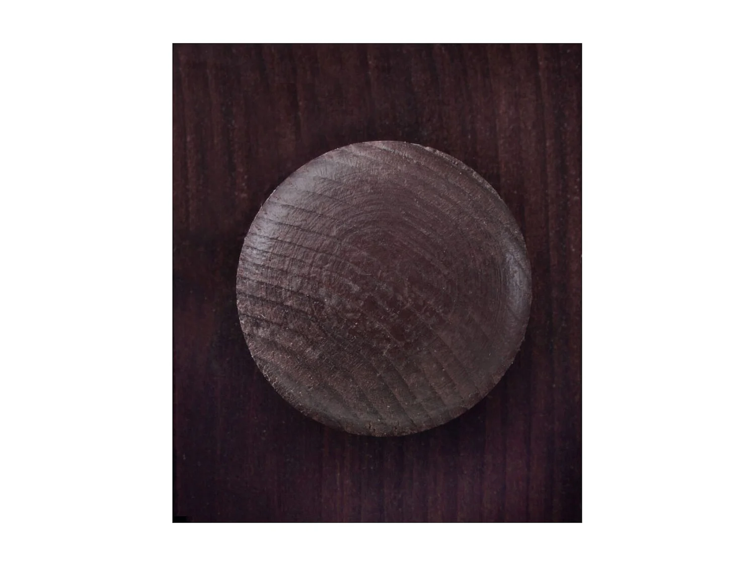 Lisa|Table basse 2 portes Havanna