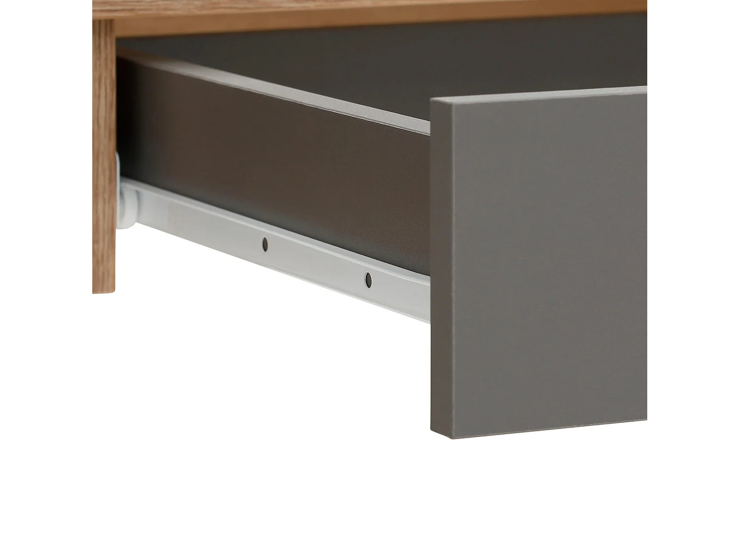 Magnet Desk Art.RovereAnthr