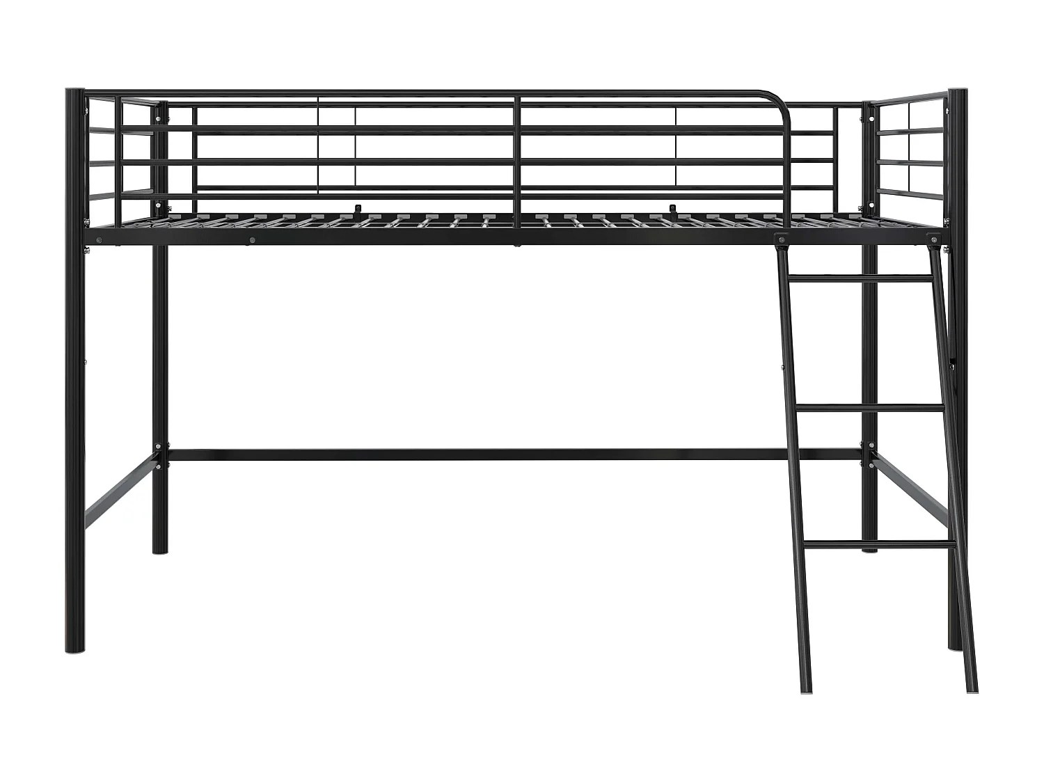 Mittelschläfer Schwarz