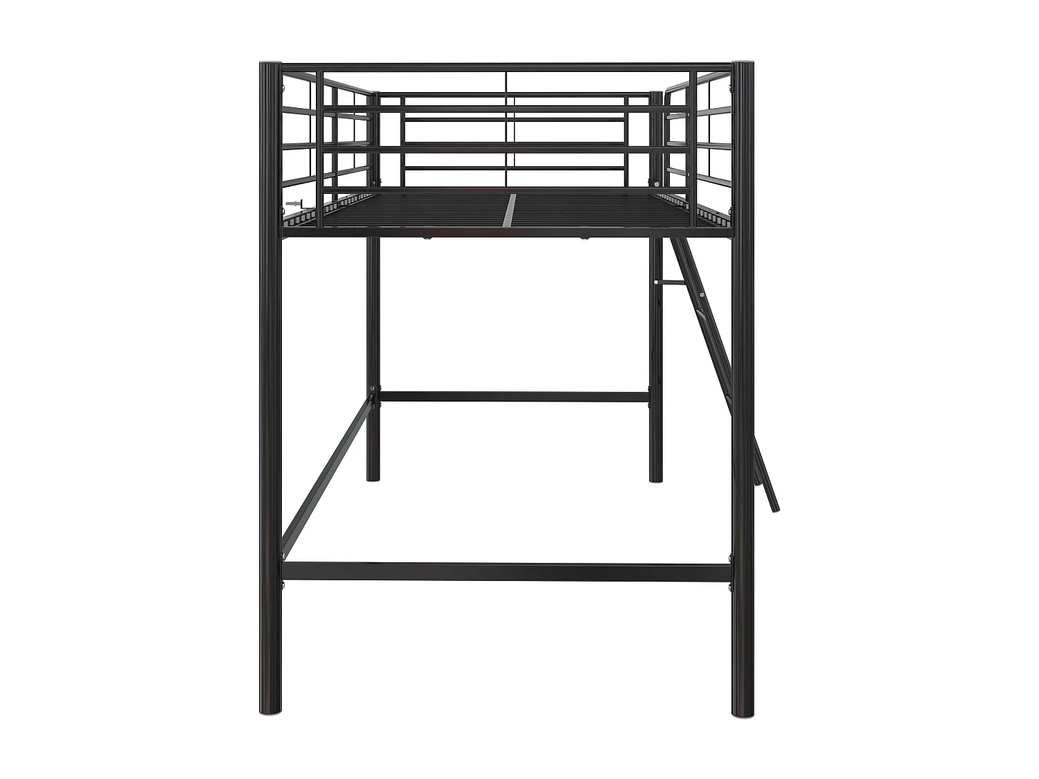 Mittelschläfer Schwarz