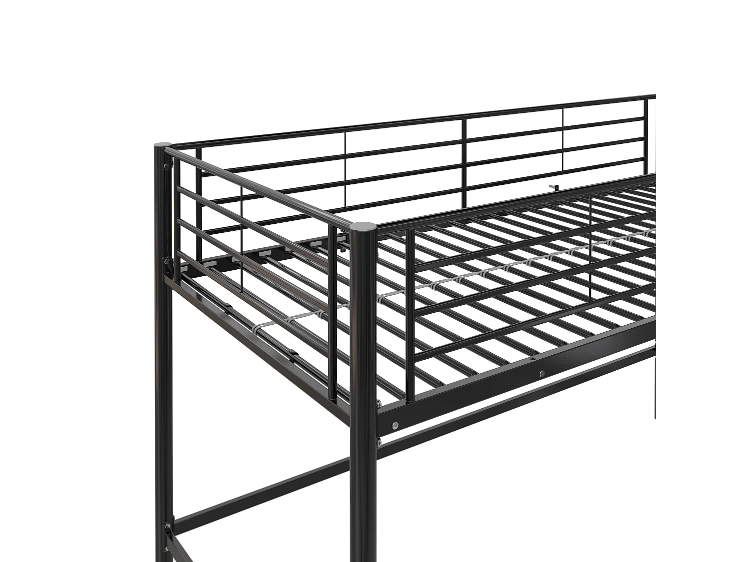 Mittelschläfer Schwarz