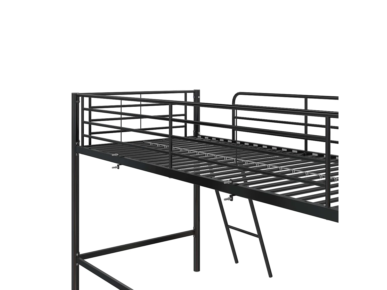 Mittelschläfer Schwarz