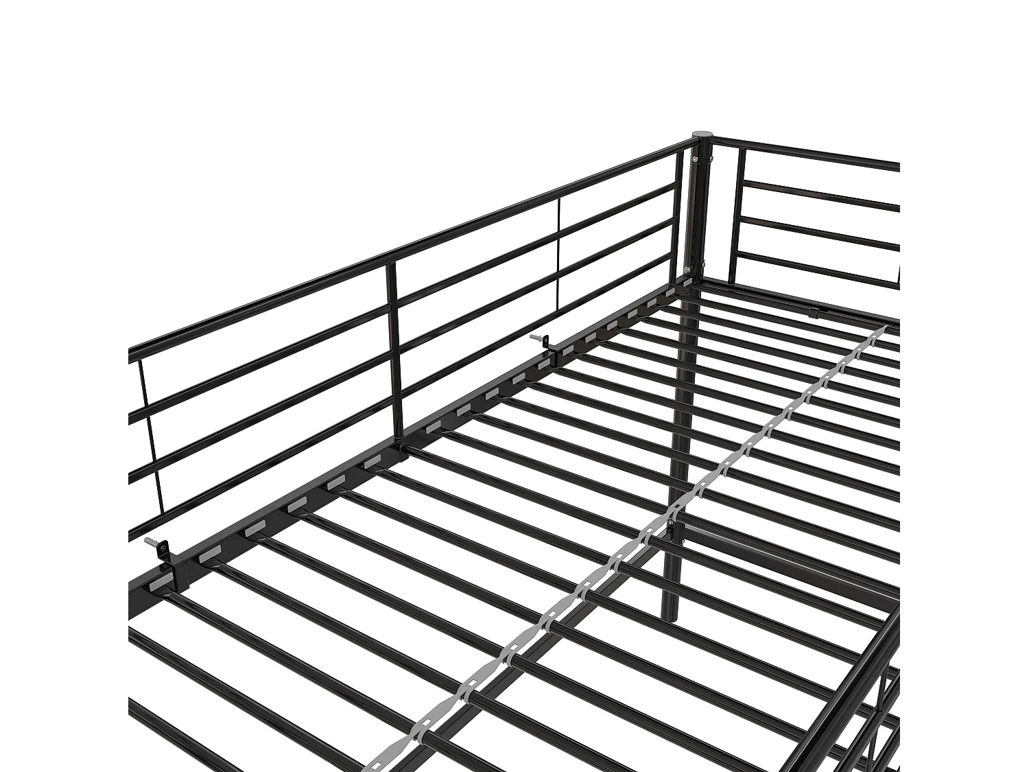 Mittelschläfer Schwarz