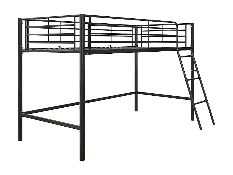 Mittelschläfer Schwarz