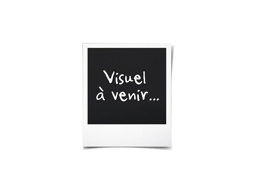 GALIPETTE MARTIN Petite bibliotheque mobile