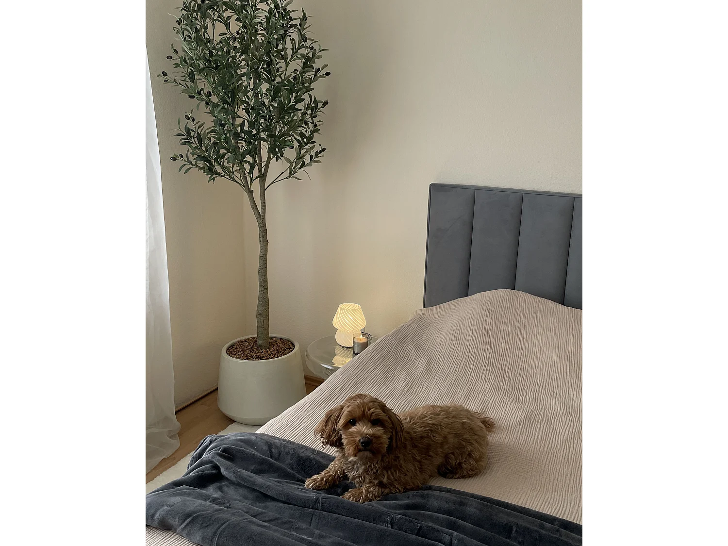 Kuscheldecke BAYBURT 200 x 220 cm Grau