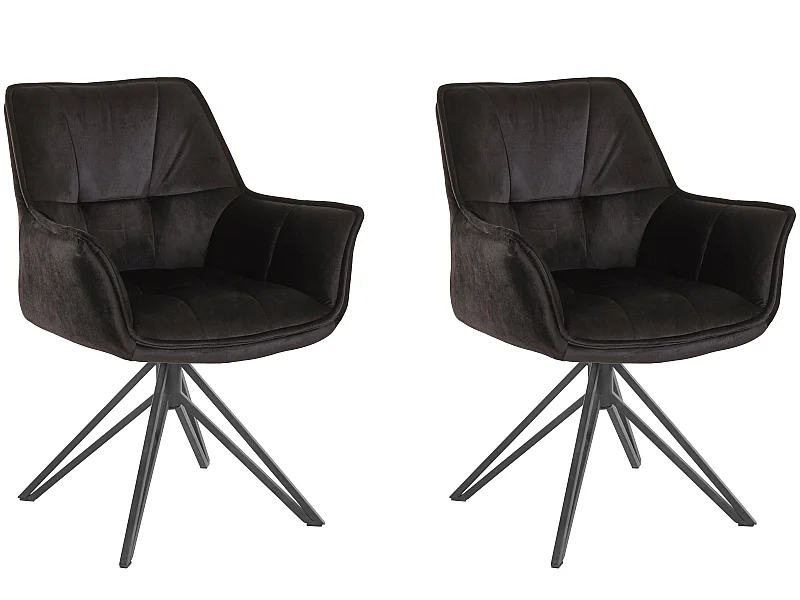 Ciana Fauteuil 2 stuks Zwart