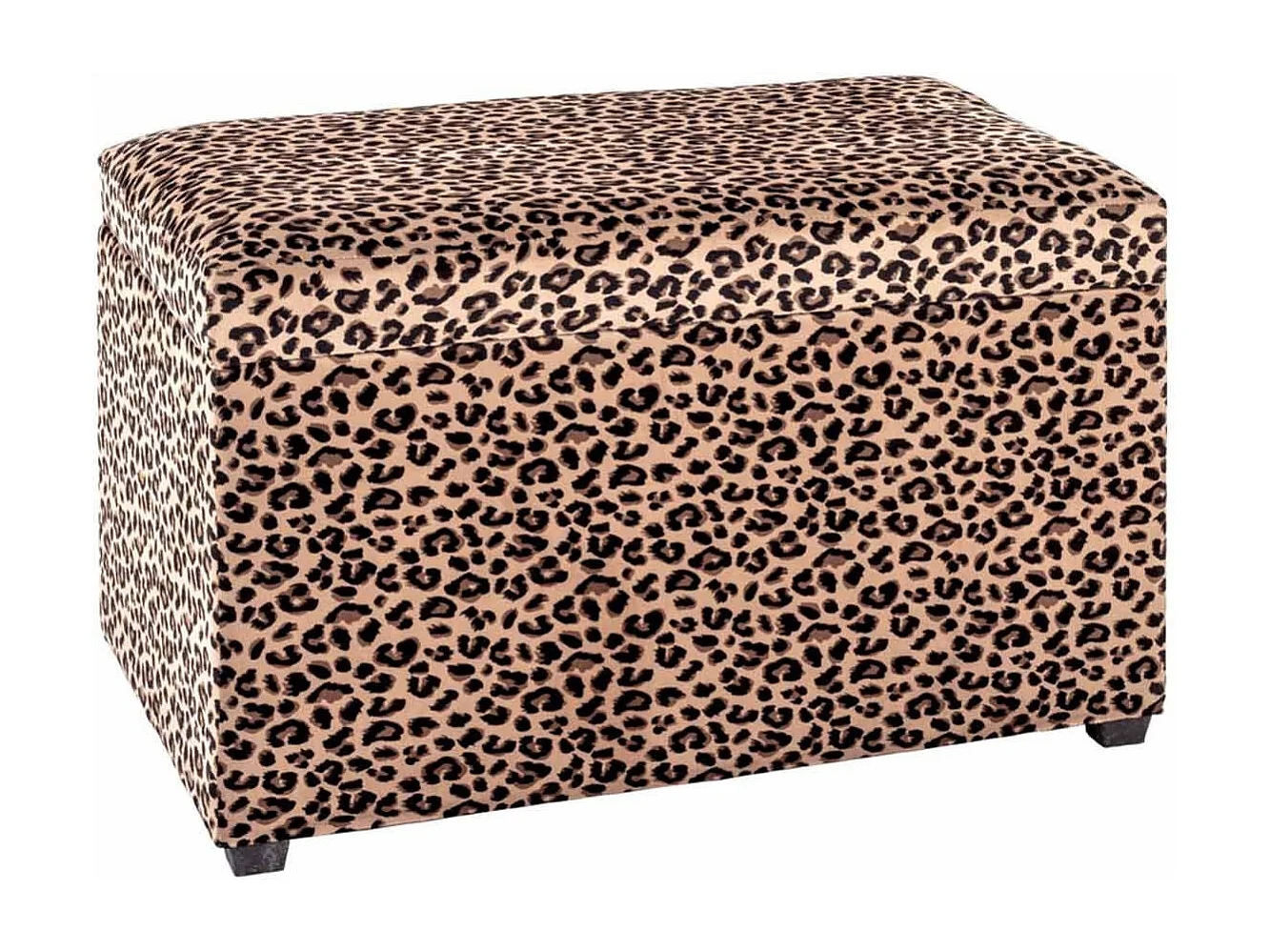 Coffre de Rangement "Motif Léopard" 65cm Marron
