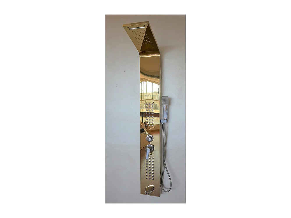 Fra9010 Gouden Hydromassagezuil van 18/10 roestvrij staal