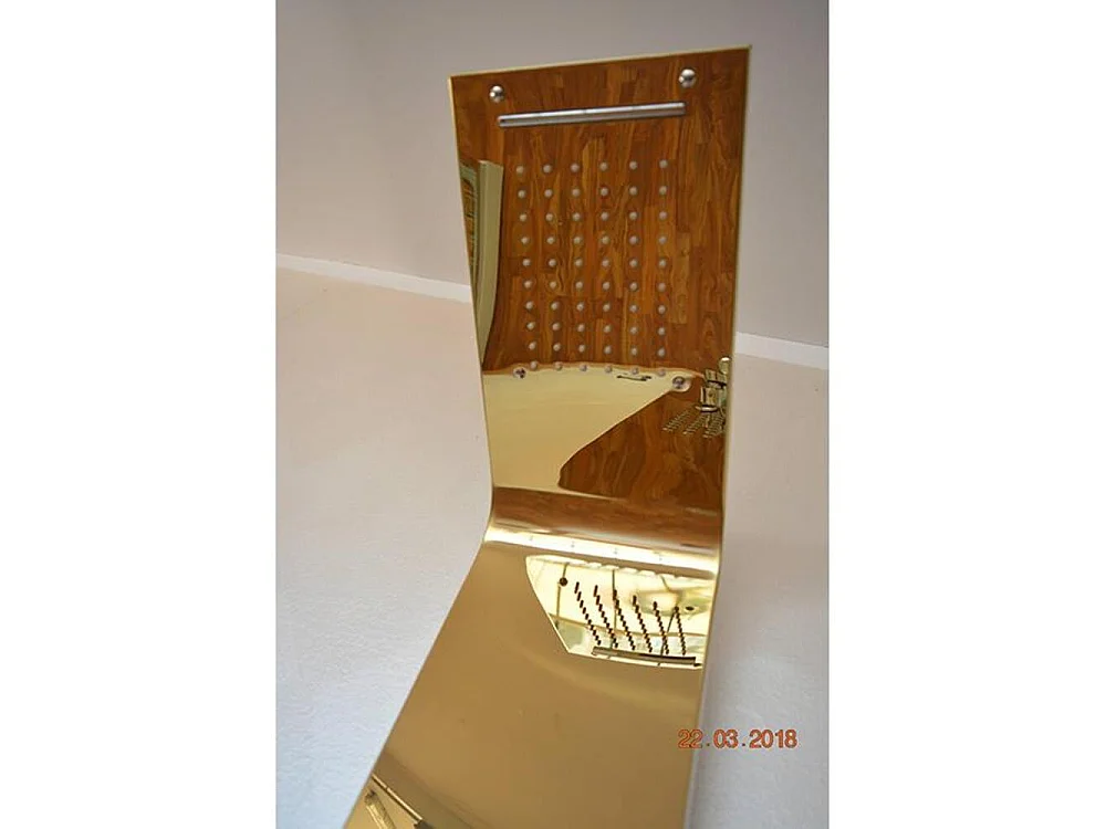 Fra9010 Gouden Hydromassagezuil van 18/10 roestvrij staal