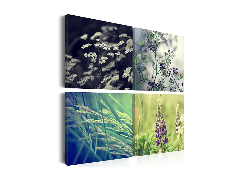 Tableau Imprimé "Champ Magique" 40 x 40 cm