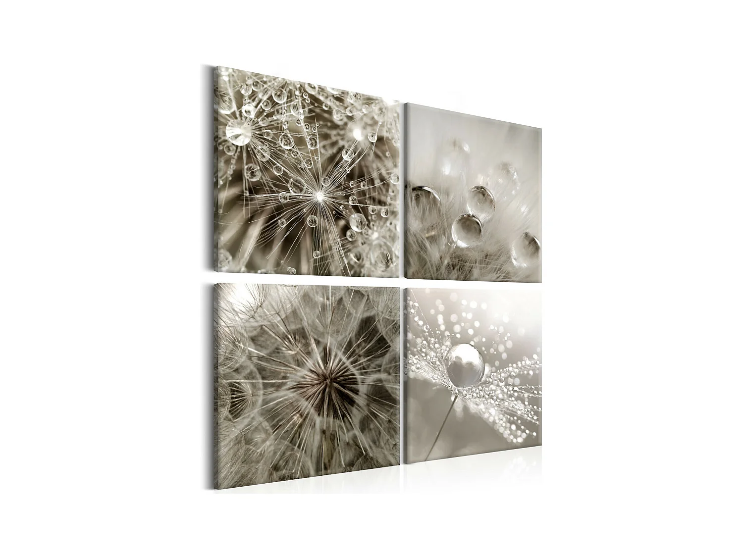 Tableau Imprimé "Grey Dandelion" 40 x 40 cm
