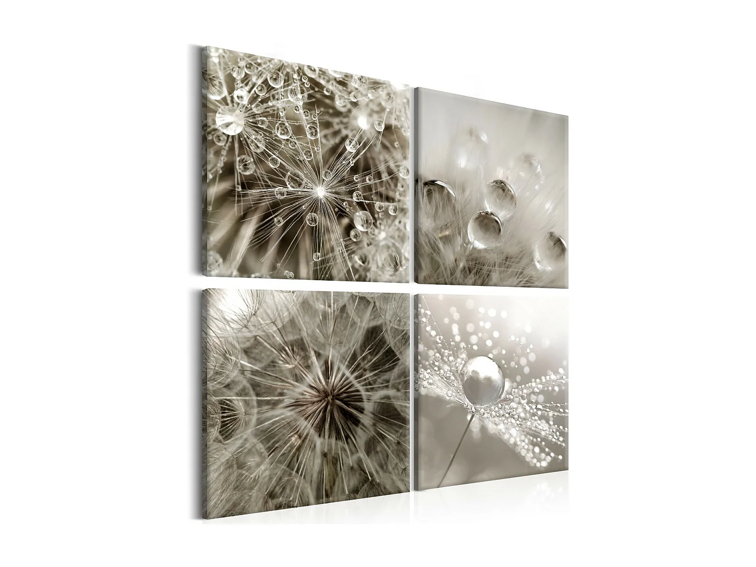 Tableau Imprimé "Grey Dandelion" 40 x 40 cm