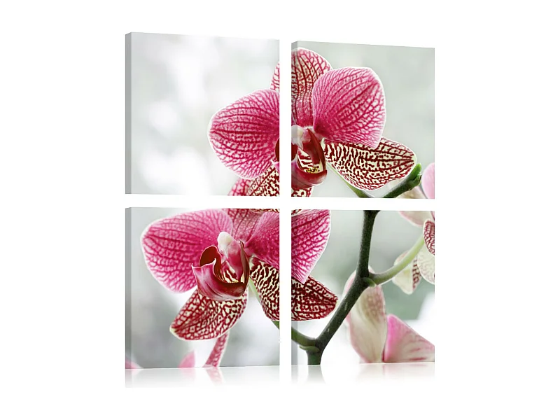 Tableau Imprimé "Orchidée de Fantaisie" 40 x 40 cm