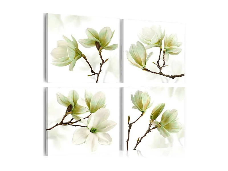 Tableau Imprimé "Admiration of Magnolia" 40 x 40 cm