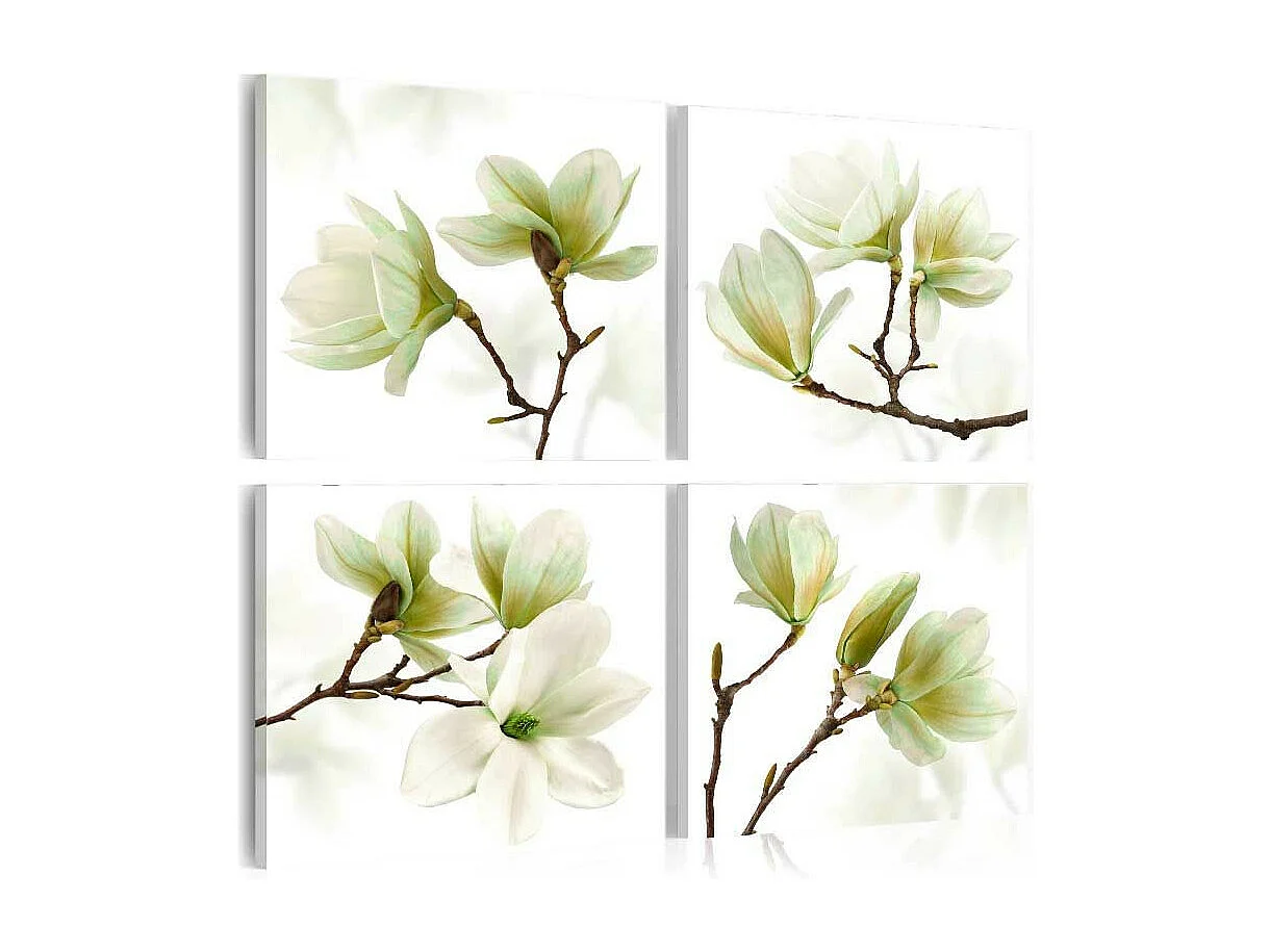 Tableau Imprimé "Admiration of Magnolia" 40 x 40 cm