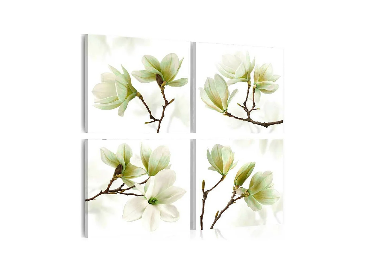 Tableau Imprimé "Admiration of Magnolia" 40 x 40 cm