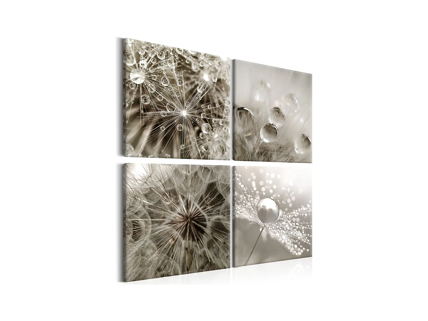 Tableau Imprimé "Grey Dandelion" 80 x 80 cm