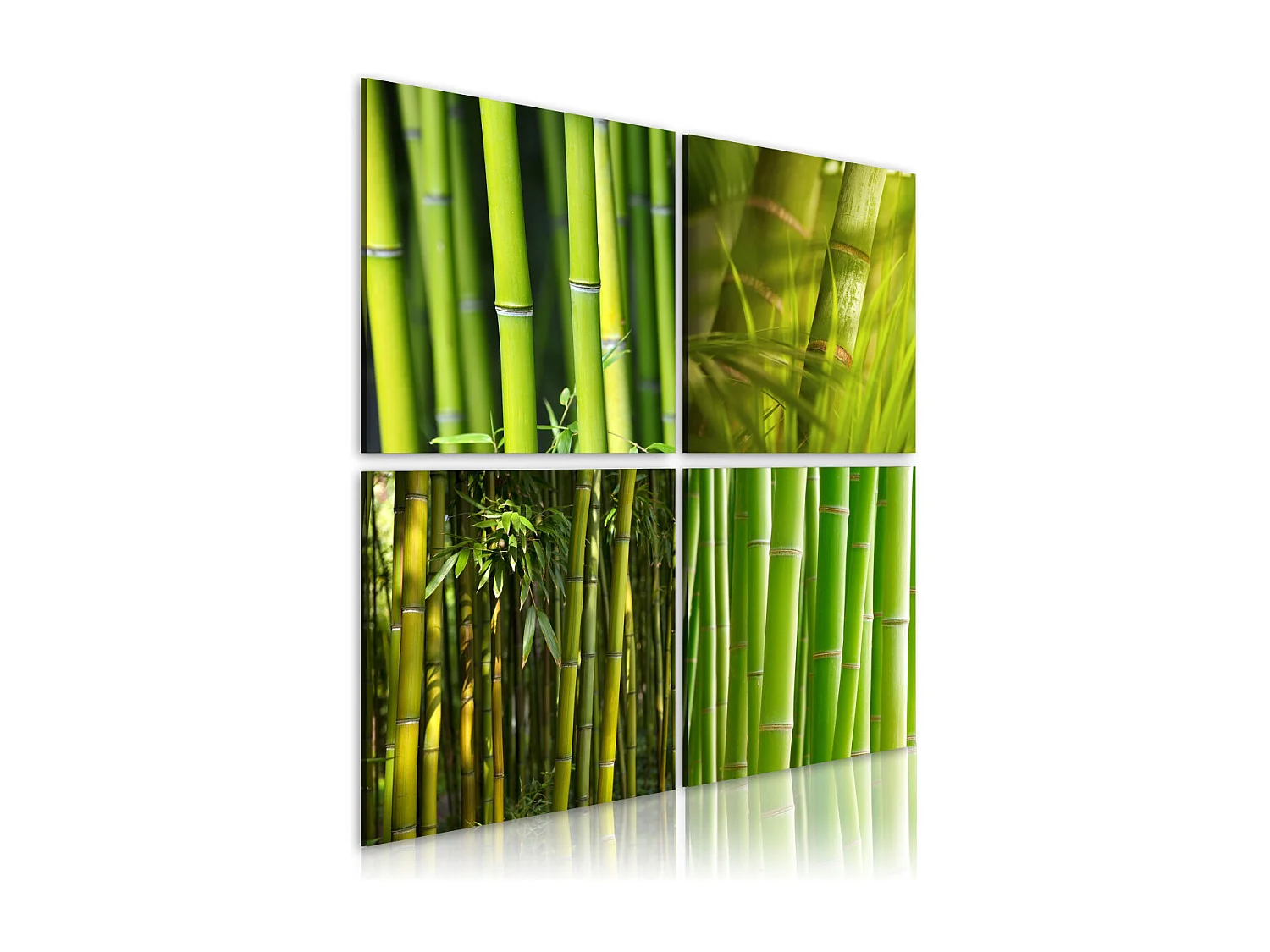 Tableau Imprimé "Bambous" 40 x 40 cm