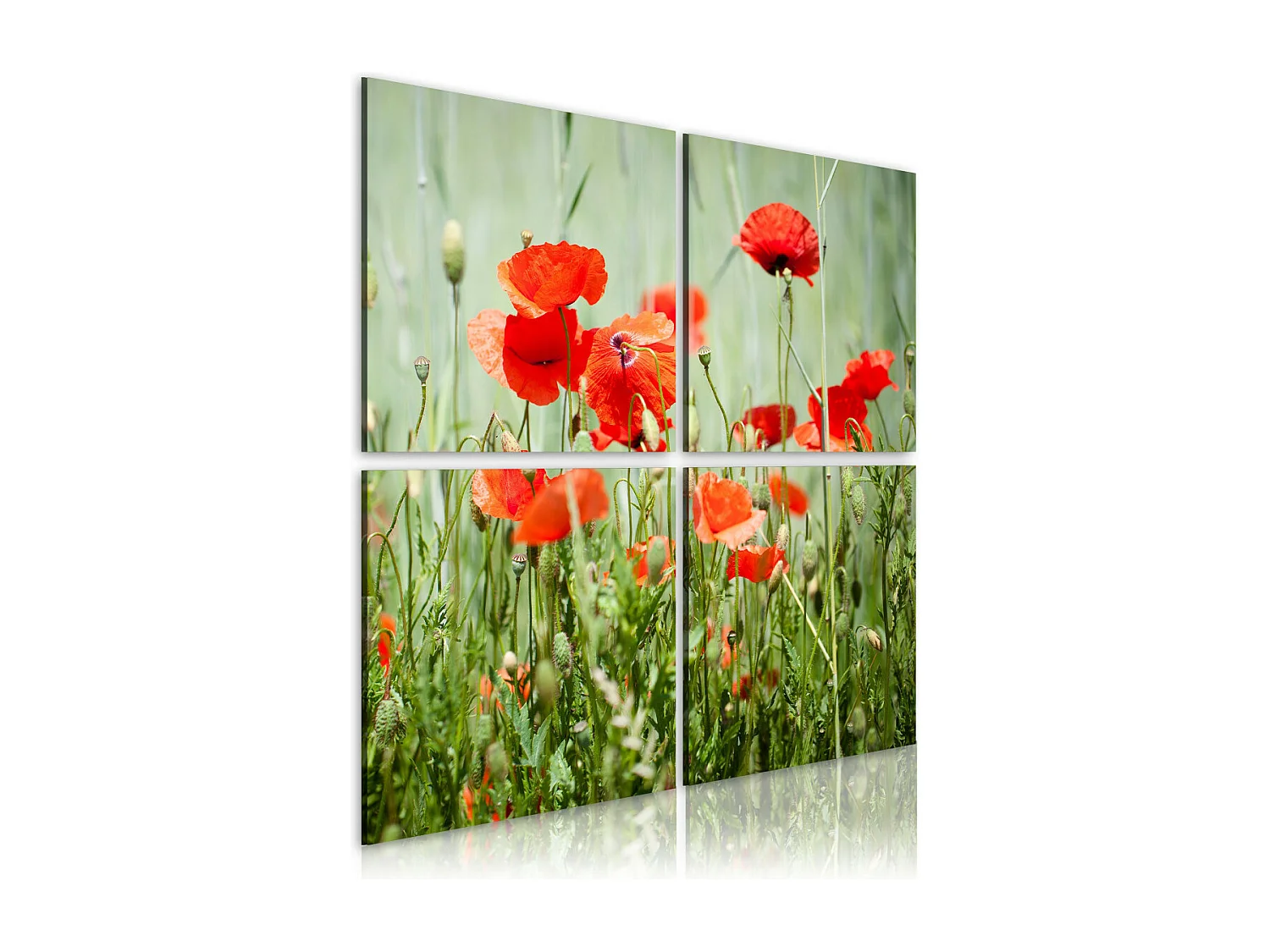 Tableau Imprimé "Temps Printanier" 80 x 80 cm