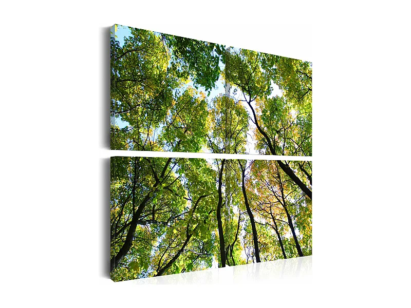 Tableau Imprimé "Treetops" 40 x 40 cm