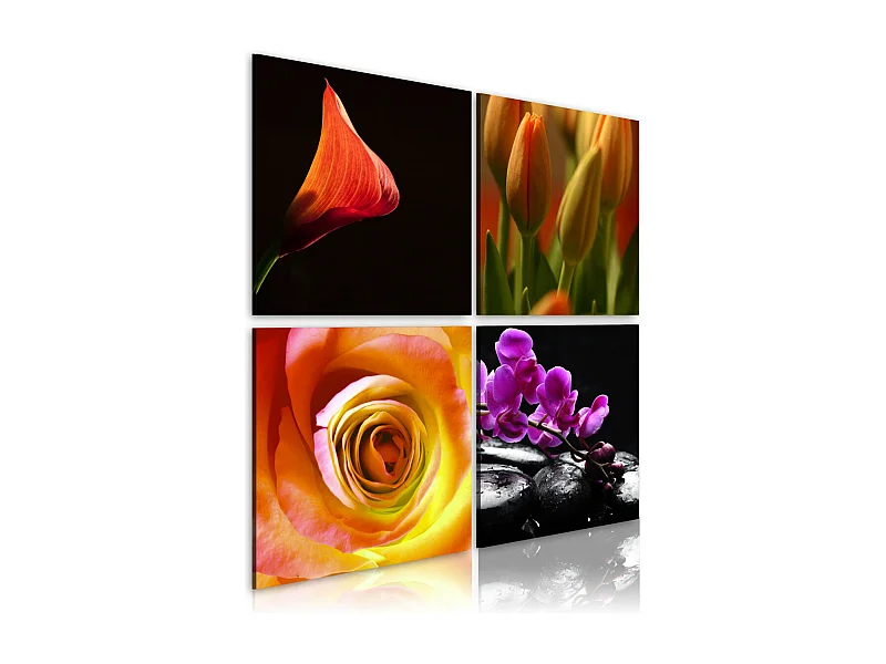 Tableau Imprimé "L'essence de la Beauté" 80 x 80 cm