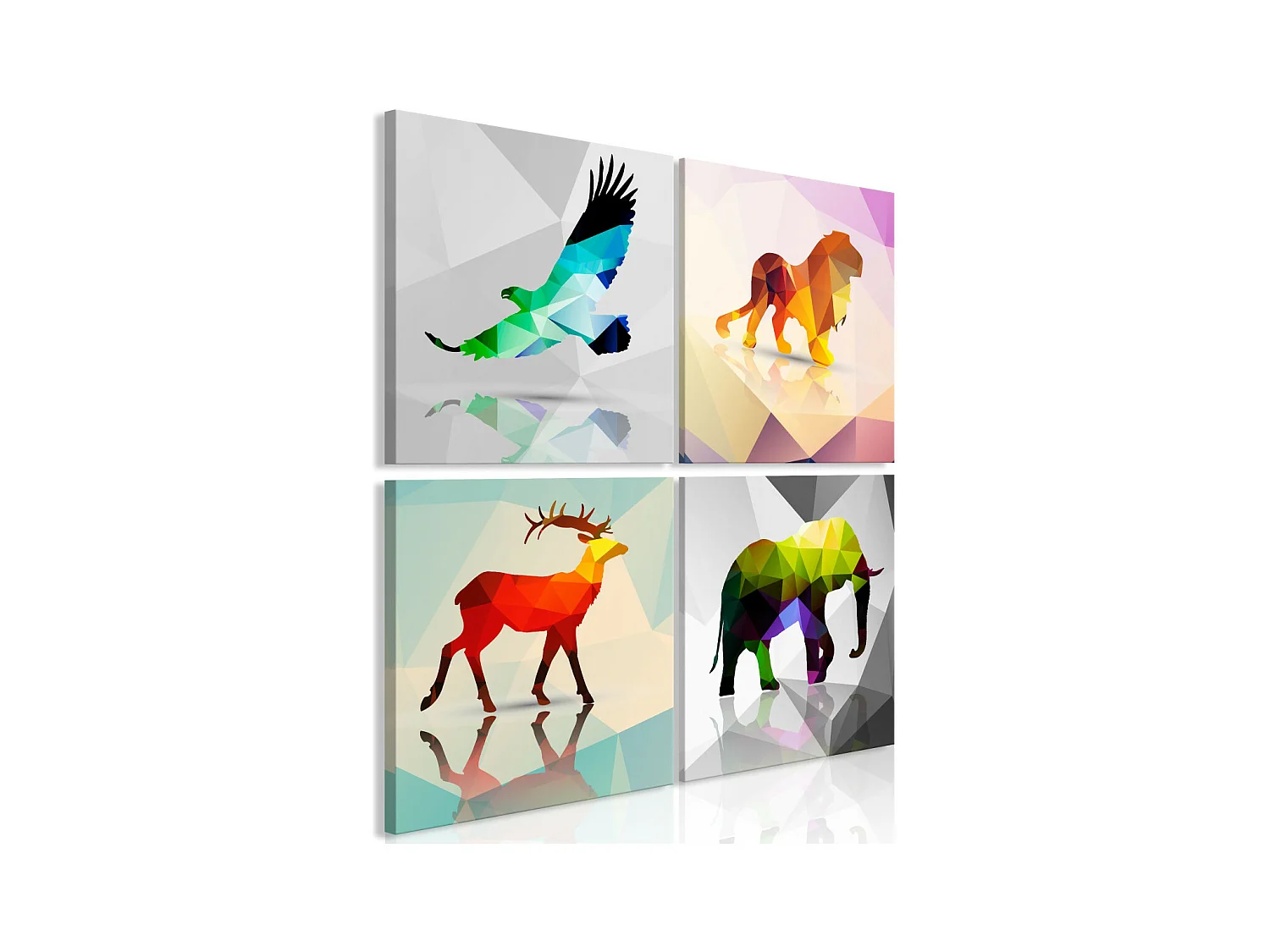 Tableau Imprimé 4 Panneaux "Colourful Animals" 80 x 80 cm
