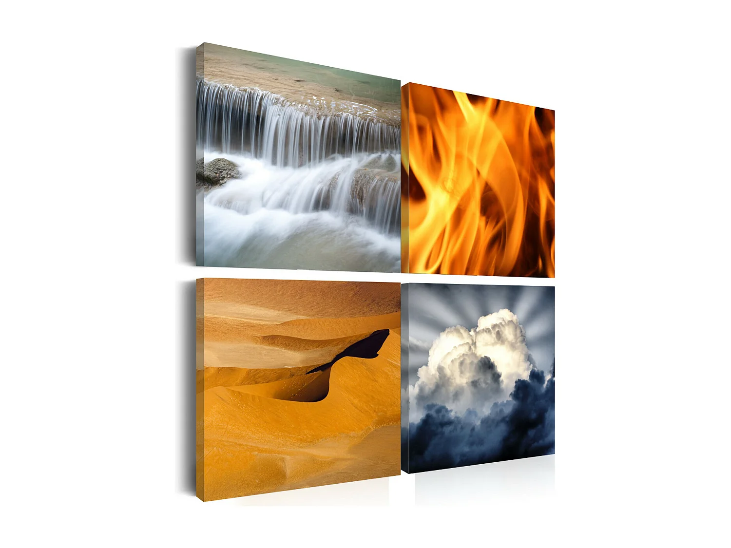 Tableau Imprimé "Diversité de la Nature" 40 x 40 cm