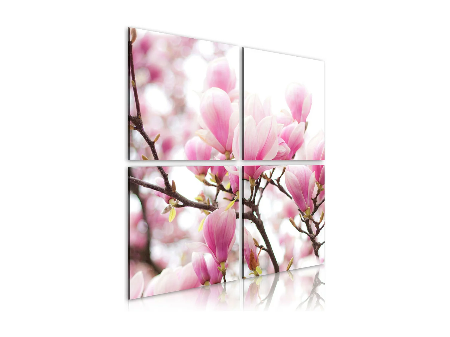 Tableau Imprimé "Magnolia Fleurissante" 80 x 80 cm