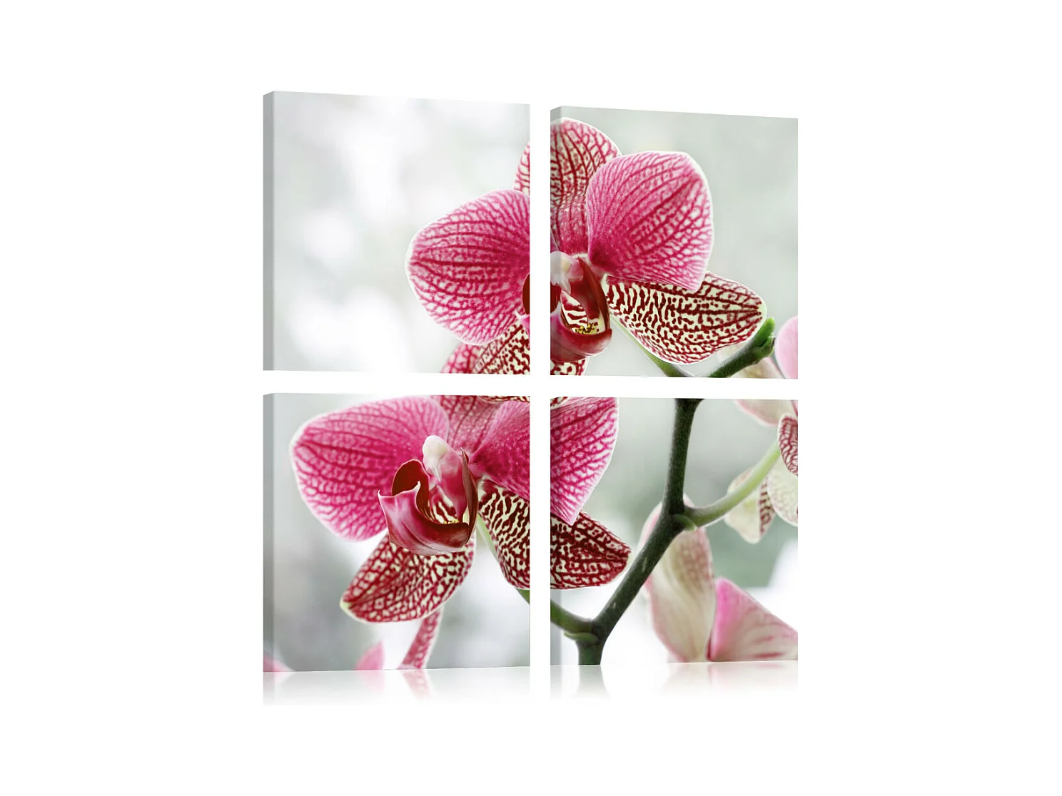 Tableau Imprimé "Orchidée de Fantaisie" 80 x 80 cm