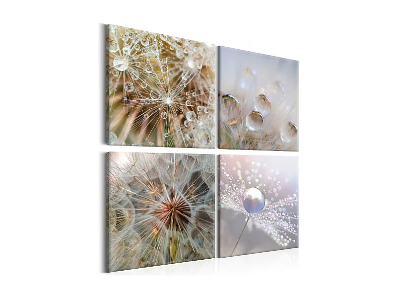 Tableau Imprimé "Morning Glow" 80 x 80 cm