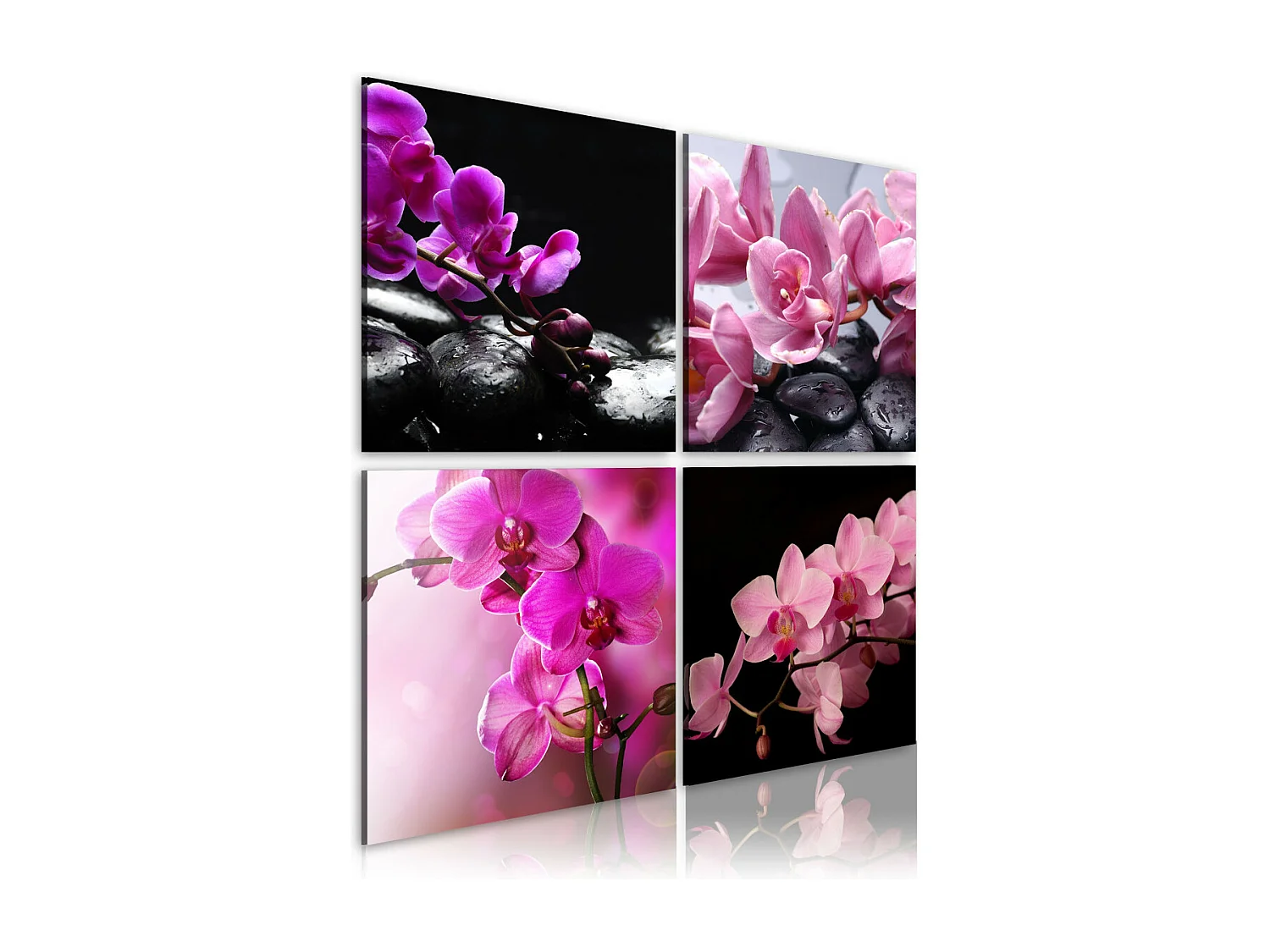 Tableau Imprimé "Orchidées Plus Belles Que Jamais" 80 x 80 cm