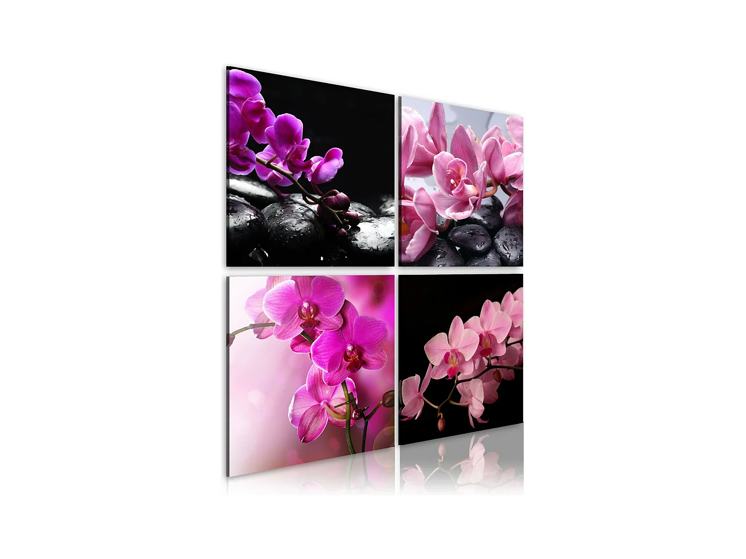 Tableau Imprimé "Orchidées Plus Belles Que Jamais" 80 x 80 cm