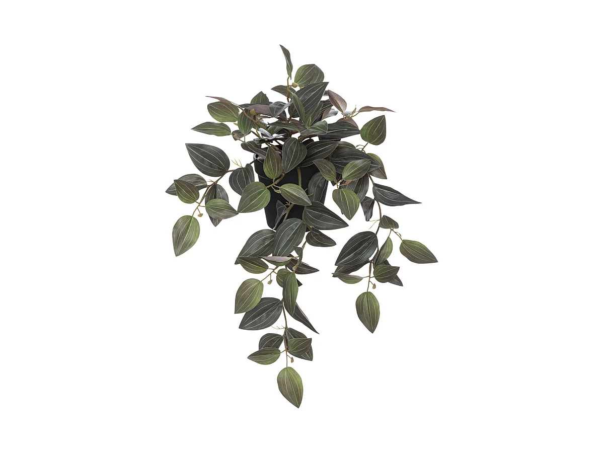Plante artificielle Tradescantia bicolore H 45 cm