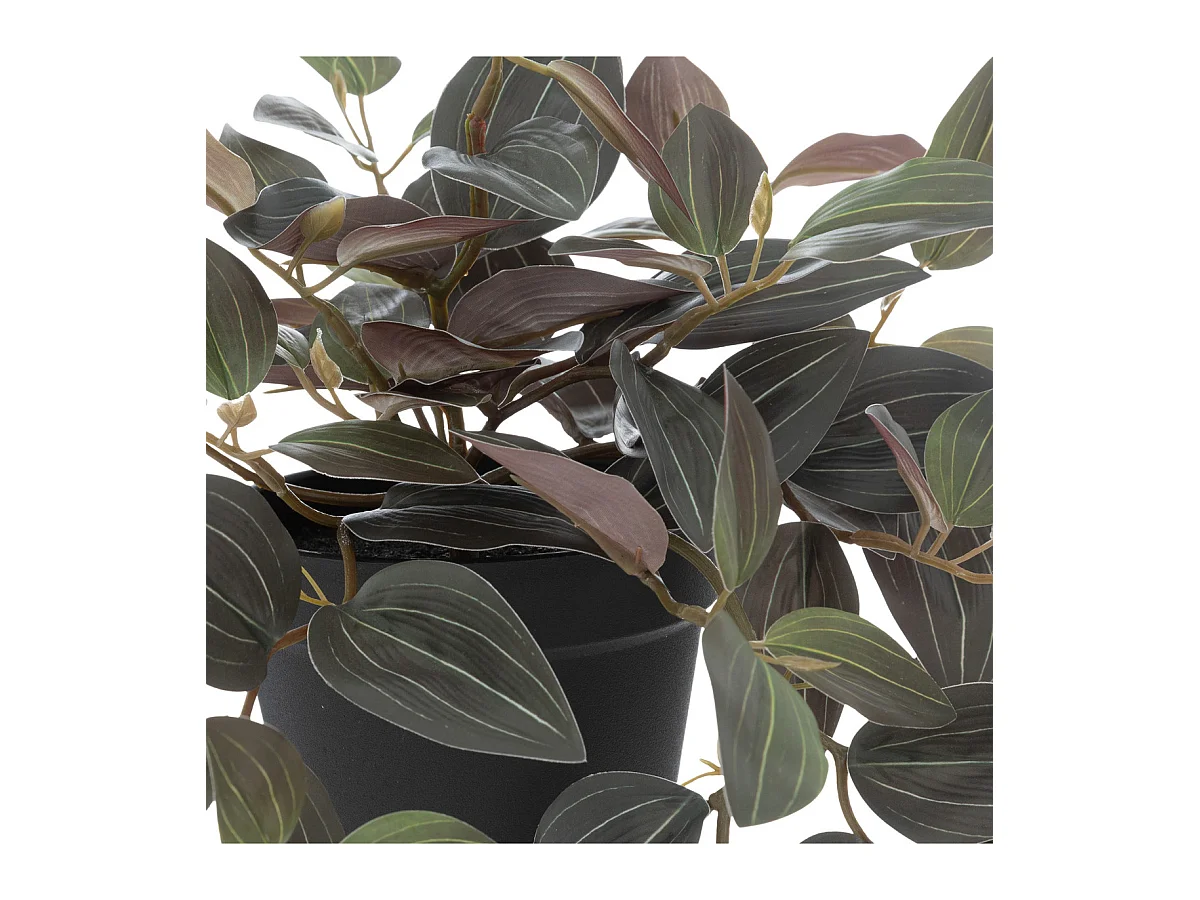 Plante artificielle Tradescantia bicolore H 45 cm