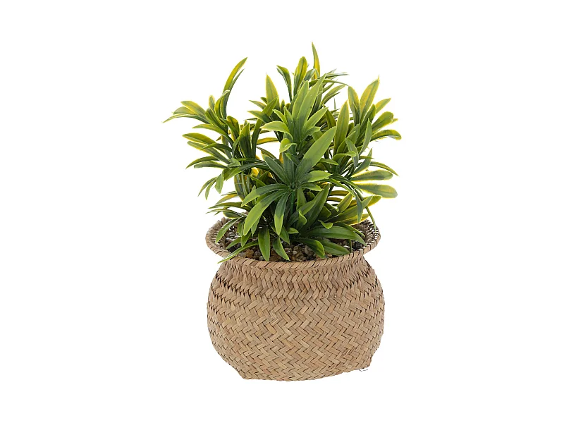 Plante artificielle pot en Roseau H 20 cm